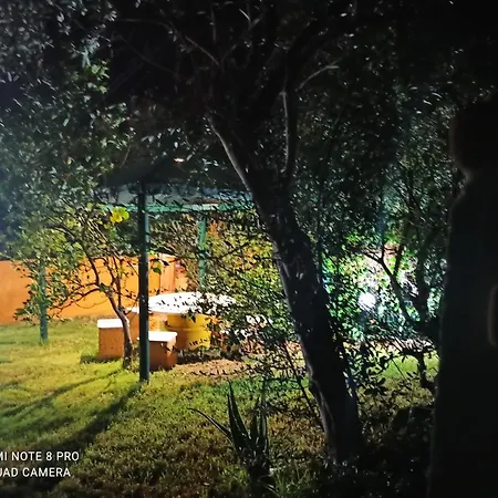 Albarosa Garden Holiday home *